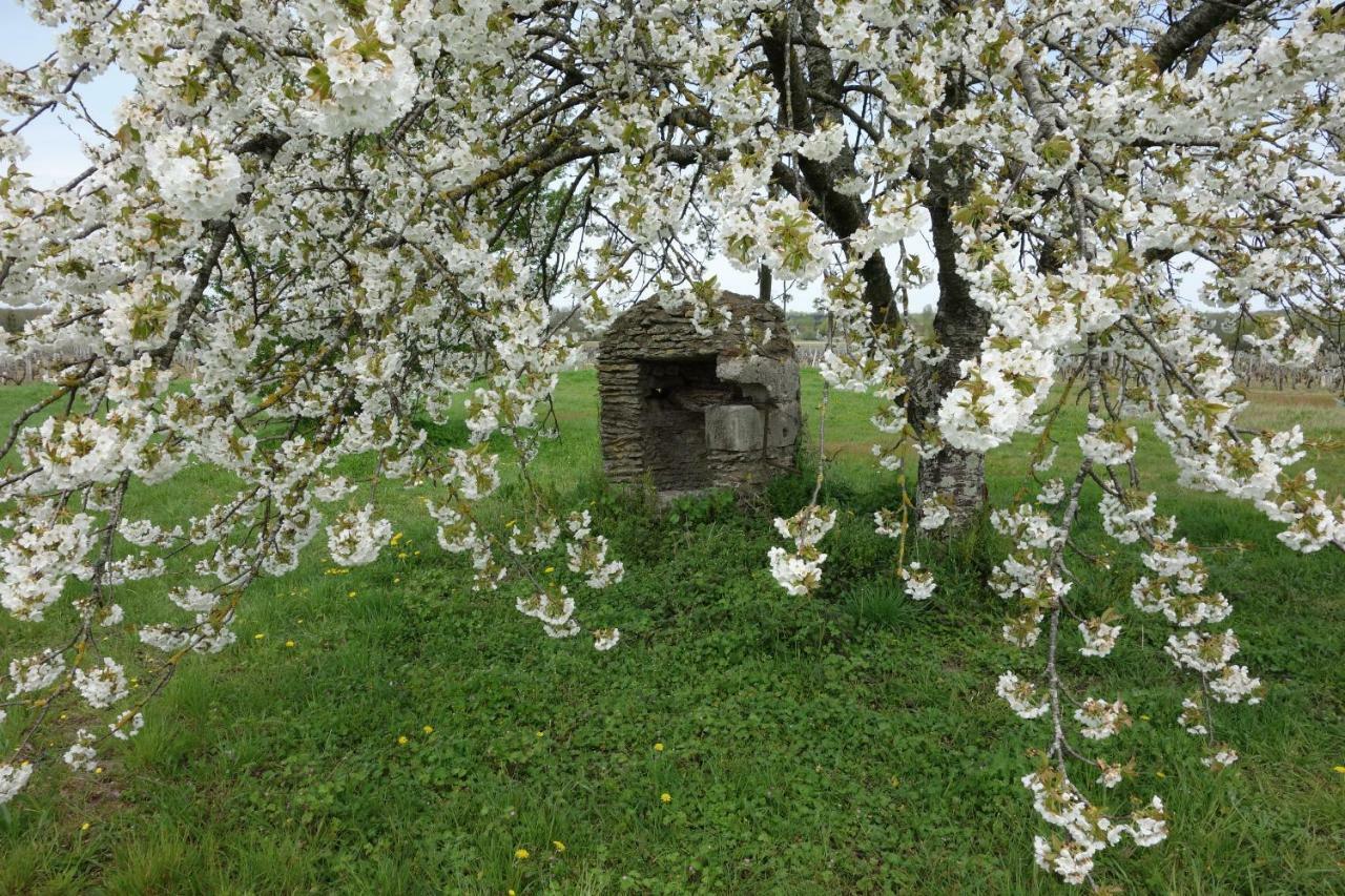 Bed and Breakfast Les Hirondelles Du Moulin Sassay Exterior foto